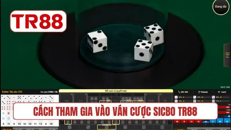 Cách tham gia vào ván cược Sicbo TR88 xanh chín