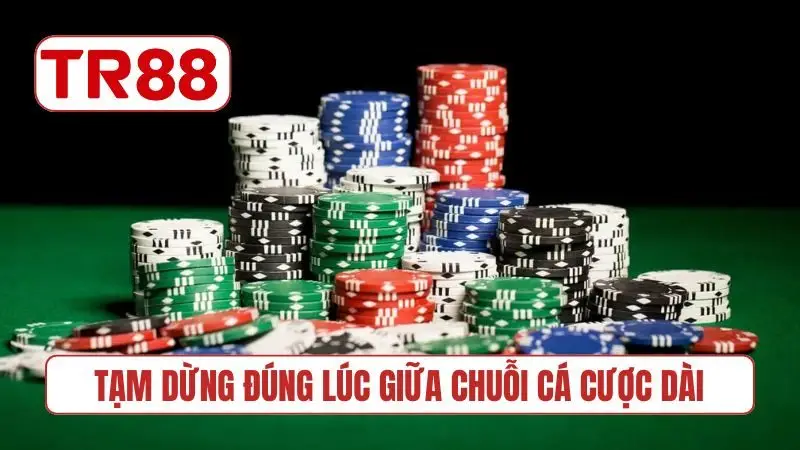 Tạm dừng đúng lúc giữa chuỗi cá cược dài